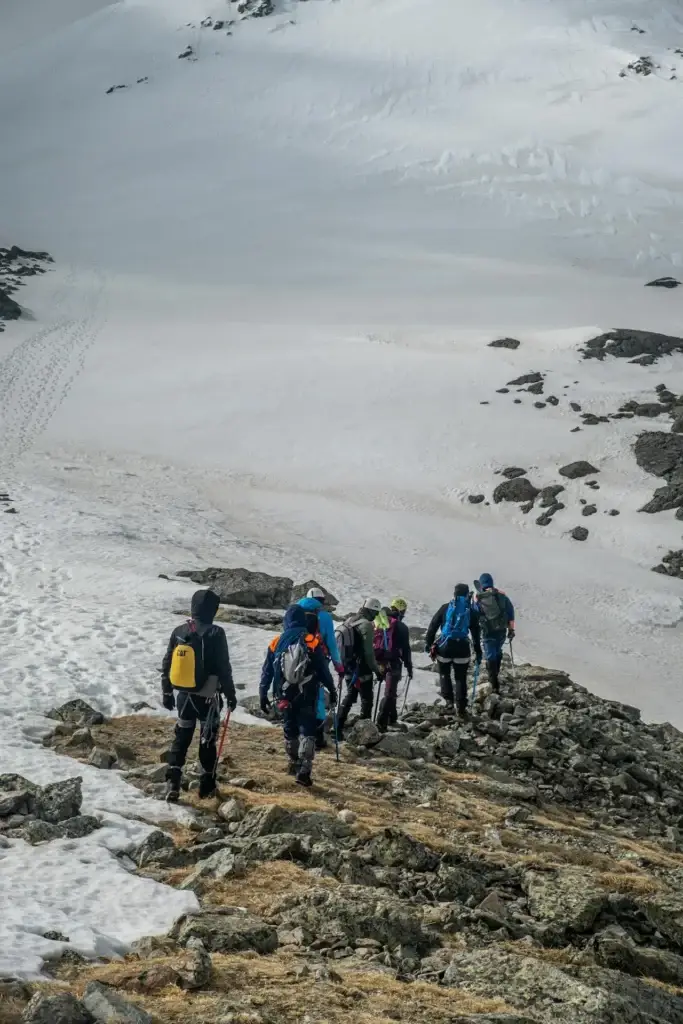 Leki Trekking Poles